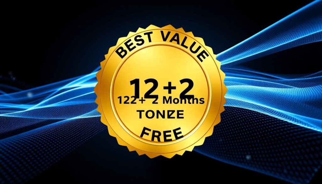 IPTV Subscription 12 Monate kaufen Deutschland